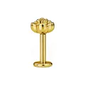 Elegante goudkleurige roosvormige labret oorknopje gemaakt van duurzaam titaniumstaal - 1.2x6mm / Goud