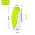 Tragbare 580ml Hundewasserflasche mit einem grünen Blattdesign für unterwegs im Freien - Großer Blatt-Stil - Grün / Kartonverpackung