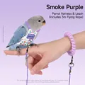 Smoky purple parrot diaper harness with 3m leash and wristband for outdoor use. - 4# Cockatiel Flight Suit / 3m Leash Set / Purple