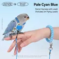Sky blue parrot diaper harness leash with 2m flying rope for outdoor training - Cockatiel Style (4#) / 6*10.5cm (With 2m Leash) / Blue