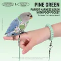 Professional parrot diaper harness and leash set in Pine Stream Green with 2m flying rope - Cockatiel (4#) / 2m Leash + Flight Suit (6*10.5cm) / Green