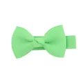 Pinza para el pelo con lazo de cinta grosgrain verde claro para niñas y niños pequeños - Verde Menta (530)