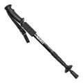 Professional black telescopic aluminum alloy trekking pole with ergonomic EVA foam grip - 50-110cm / Black
