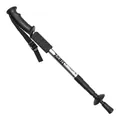 Leichter Teleskop-Trekkingstock aus Aluminium mit geradem Griff und Anti-Schock-System - 50-110cm / Silber