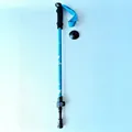 Adjustable blue children's trekking pole featuring EVA grip and cartoon cloud art - Kids Walking Stick Sky Blue