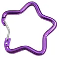 Sternförmiger Drahtschnapper-Karabiner aus Aluminium in einem leuchtenden Lila - Stahldraht-Stil / Lila