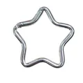 Robuster silberner sternförmiger Aluminium-Karabinerhaken für tägliches Zubehör - Federriegel-Stil / Silber
