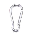 Close-up van een zilveren peervormige metalen karabijnhaak met functionele veersluiting - Flespompoenvorm / Zilver