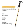Goldener verstellbarer Cleye-Trekkingstock aus Aluminium, T-Griff, 55-110 cm Länge - 51-110cm / Gold
