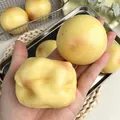 Detailed shot of yellow potato squishy toy being squeezed to show realistic texture. - Building Block Crunchy Potato