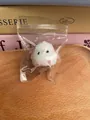 Cute white fluffy chick squishy stress relief toy packed in a clear zipper bag - White Baby Chick