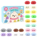 Scatola regalo calendario conto alla rovescia giocattolo squishy Mystery Bao Bao 24 giorni - Sorpresa Misteriosa Bao Bao (GJ879-02)