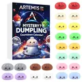Set regalo calendario conto alla rovescia Mystery Dumpling con squishy colorati - Serie Artemis II Spazio (GJ859) / Set da 24