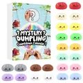 24-piece mystery dumpling squishy countdown calendar set with colorful fidget toys - Mystery Dumpling Series 02 (GJ836-002) / Set of 24