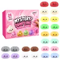 Calendario dell'avvento 24 giorni squishy dumpling giocattoli antistress regalo - Tema 24 Giorni di Sorprese (GJ880-07) / Set da 24