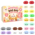 Calendario dell'avvento conto alla rovescia di 24 giorni Mystery Bao Bao con vari giocattoli squishy - Tema Mystery Bao Bao (GJ880-10) / Set da 24