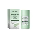EELHOE Masque à l'argile à l'armoise pour le nettoyage des pores et le traitement de l'acné - 40.00g
