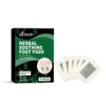 XIMONTH Herbal Soothing Foot Pads for Night Use, 6 Piece Set for Relieving Fatigue - 6 Pieces/Pack