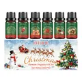 EELHOE Kerst geurolie set met 6 feestelijke geuren in bruine glazen flessen van 10ml - Kerstgeurolieset (60ML)