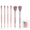 Six-piece mini makeup brush set with rose gold handles and dusty pink bristles - Rose Gold Tube / Portable Kit / Pink