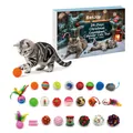 EelJoy 24-daagse kerstadventskalender met interactief kattenspeelgoed en verrassingsdozen - Kerst Advents Blind Box / 24-delige set