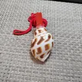 Handmade natural seashell whistle toy for kids with red plastic mouthpiece and lanyard - Spotted Conch Style / 1 Piece (6-8cm)