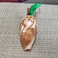 Natürliche braun gemusterte Muschelpfeife mit grüner geflochtener Kordel für Kinder - Blumenkellen-Schneckenstil / 1 Stück (9-11cm)