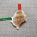 Natürliche Muschelpfeife Spielzeug mit rotem Mundstück und grünem Umhängeband - Seegurken-Schneckenstil / 1 Stück (6-8cm)