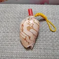 Authentisches Naturmuschel-Pfeifenspielzeug mit rotem Mundstück und gelber Kordel - Landschafts-Schneckenstil / 1 Stück (9-11cm)