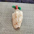 Echte natürliche Muschelpfeife für Kinder mit rotem Mundstück und grünem Umhängeband - Kleiner Kaiser-Schneckenhorn / 1 Stück (9-11cm)