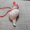 Natürliches Muschelpfeifenspielzeug für Kinder mit rotem Mundstück und roter Schnur - Fackel-Schneckenhorn / 1 Stück (Inklusive Pfeife 9-11cm)