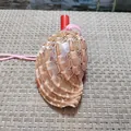 Handgefertigtes Natur-Muschel-Pfeifen-Spielzeug mit rotem Mundstück und Kordel - Lauten-Schneckenhorn / 1 Stück (8-10cm)