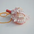 Naturmuschel-Pfeifenspielzeug mit rotem Mundstück und orangefarbener Kordel für Kinder - Rosamund-Stachelschnecke (9-11cm) / 1 Stück