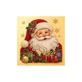 Elegant 5D DIY Christmas Santa Claus pearl diamond painting art kit for holiday home decor - Santa Claus