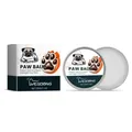 Baume hydratant pour pattes de chien YEGBONG pour guérir et protéger les pattes, pot 30g. - 30.00g