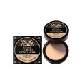 EELHOE light color tattoo concealer cream 30g with professional tiger logo packaging - Light Skin / 30g Pack