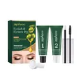ZEPHOCO professional brown eyebrow and eyelash dye kit with waterproof long-lasting cream - Eyebrow Eyelash Tint Kit / Brown