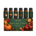 Jue Fish Herbst Ätherisches Öl Set mit sechs saisonalen 10ml Düften für Aromatherapie - 60ml (10ml*6)