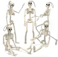 Λεπτομερής προβολή διακοσμήσεων σκελετού Halloween σε διάφορες πόζες και μεγέθη - Σκελετός / 1 Τεμάχιο/Συσκευασία