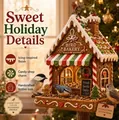 Gingerbread house bird feeder with festive icing details and birds - Gingerbread House