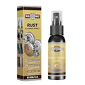 Rayhong 30ml roestreiniger spray voor metalen oppervlakken inclusief verpakkingsdoos - 30ml Verpakt in een doos