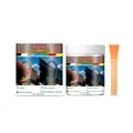 Jakehoe 100g rust converter paint kit with brush for metal rust protection and removal. - 100g Bottle and 1 Brush