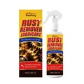 RayHong 100ml rust remover lubricant for metal surface cleaning and restoration - 100ml