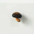 Vista macro dettagliata di un magnete da frigorifero in resina a forma di fungo 3D - Fungo