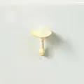 Macro vista di un realistico magnete da frigorifero a forma di fungo 3D - Fungo Ostrica Bianco
