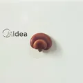 Vista dettagliata di un magnete da frigo a forma di fungo 3D su un pannello bianco - Funghi Ostrica