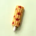Gros plan d'un aimant de réfrigérateur en forme de maïs grillé 3D avec des grains détaillés - Brochettes de Maïs Grillé
