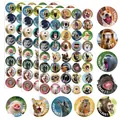 Grappige dierenbeloningsstickers met motiverende Engelse teksten voor in de klas - A334 (24.5x15.5cm)