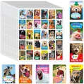 Close-up of vibrant inspirational animal stickers with motivational English quotes - A335 (25x21.5cm)