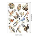 Detailed view of watercolor bird sticker sheet with dimension markings for DIY crafts. - Watercolor Birds (A640) / 1 Sheet (17x12cm)